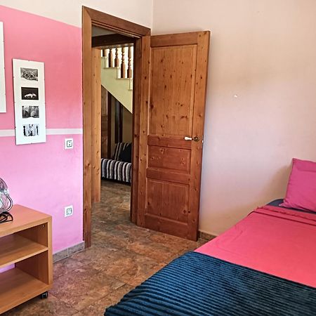 Villa Du Lac Speciale Pour Famille Avec Enfant Riudecanyes Zewnętrze zdjęcie